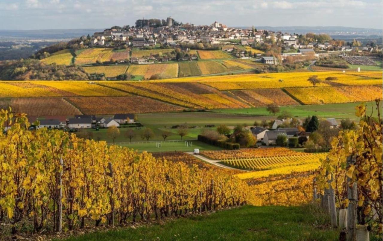"La Veranda" Gite Verdigny Exteriér fotografie